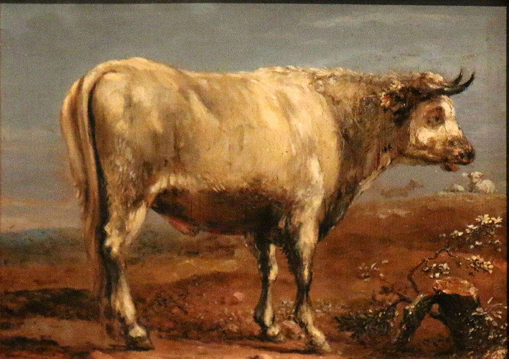 Il toro bianco - Museo Vouland, Avignone